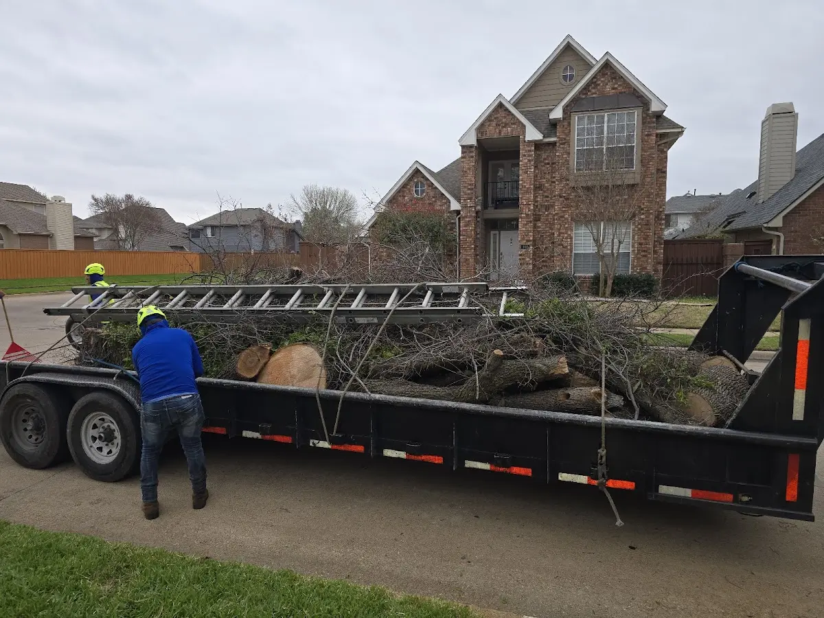 Expert Tree Fertilization with proper safety equipment in Iowa Falls